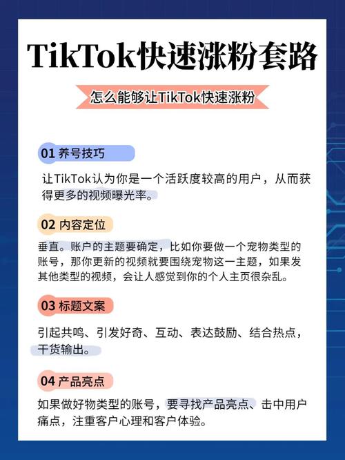 tiktok涨粉排名,标题：tiktok涨粉排名一览：热门技巧与策略分享!