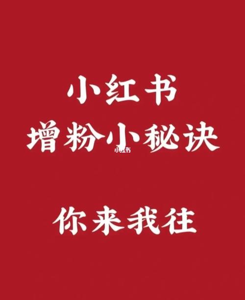 掌握小红书推荐涨粉素材,小红书推荐涨粉素材揭秘，助你成为小红书达人！!