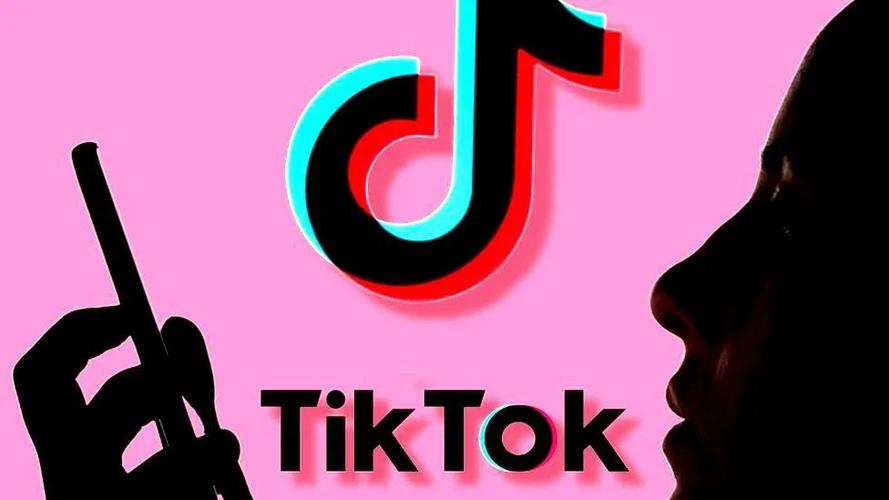 tiktok涨粉100万,TikTok涨粉100万：我的成功秘诀!