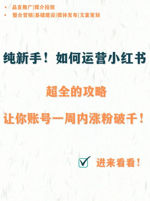 小红书涨粉秘籍,小红书涨粉秘籍：五大策略助你轻松吸粉!