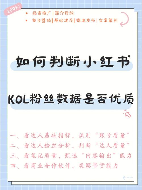 如何买小红书粉,揭秘小红书粉购买途径，教你如何选购优质粉丝!