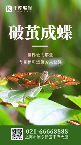 励志类视频号涨粉吗,励志类视频号：破茧成蝶，绽放无限可能!