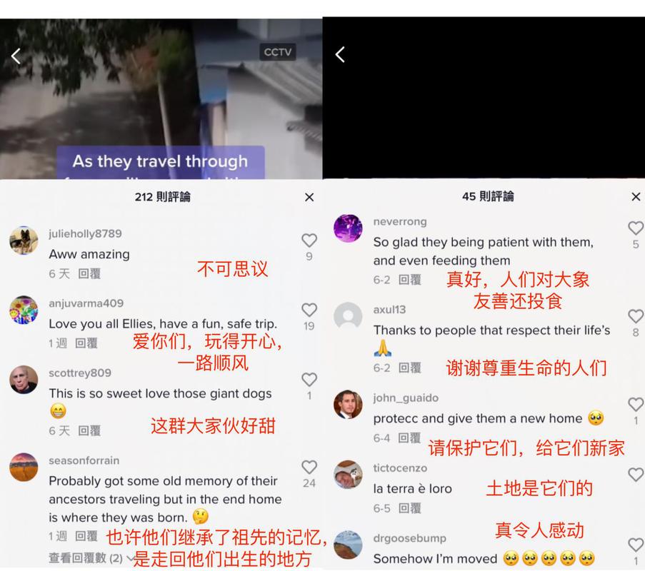 油管评论tiktok,油管评论tiktok：一场短视频界的革命!