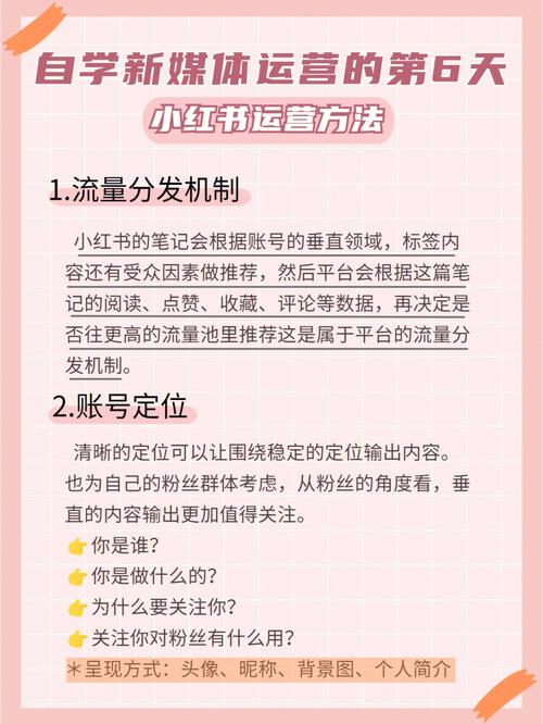 小红书刷点数据的,小红书刷点数据技巧：打造高转化率的爆款文章!