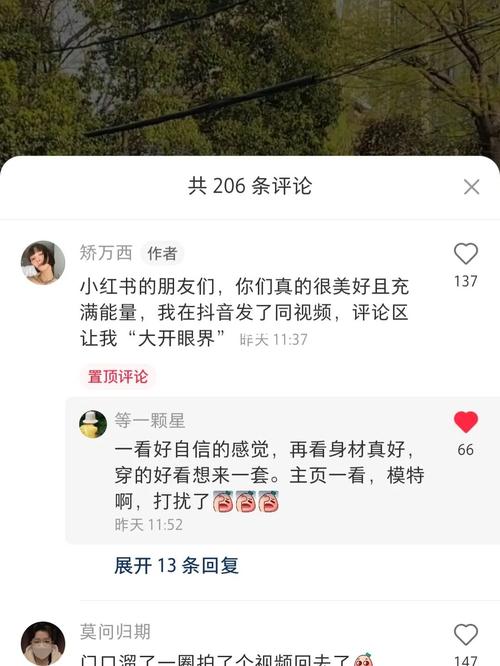 小红书刷置顶评论