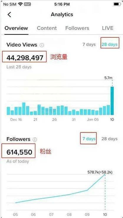 tiktok英国刷粉丝活跃时间