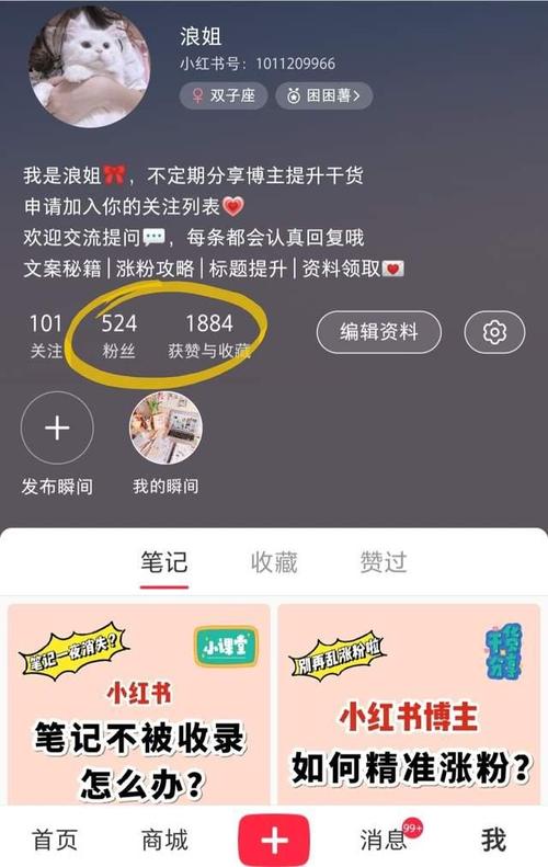 为什么小红书涨粉不显示呢,小红书涨粉不显示的原因及应对策略!