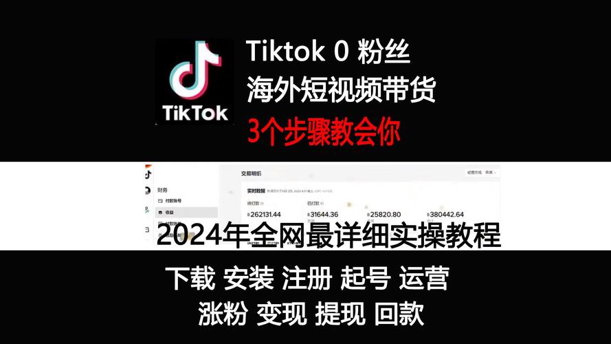 tiktok海外粉丝