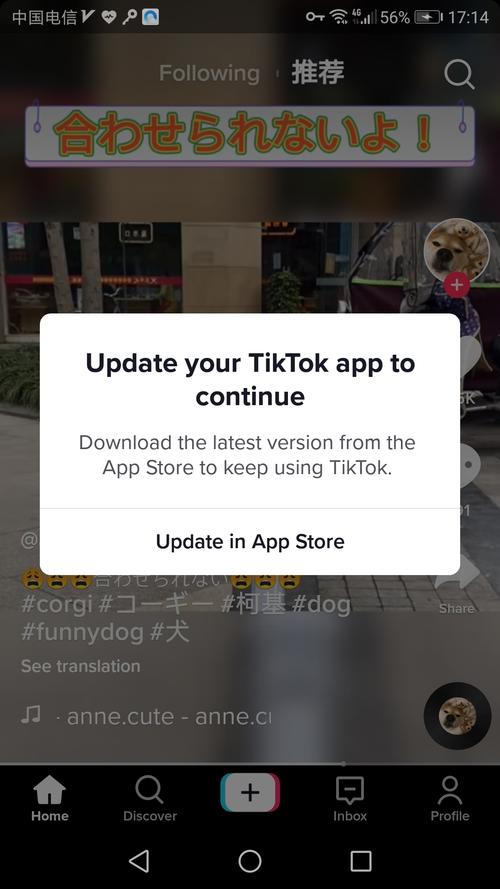 tiktok求买赞怎么说,如何增加TikTok赞？!