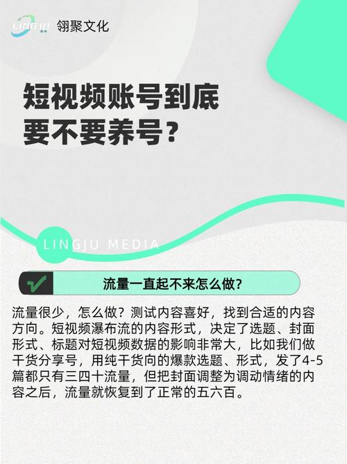 涨粉养号视频直播,涨粉养号视频直播：打造高效流量入口!