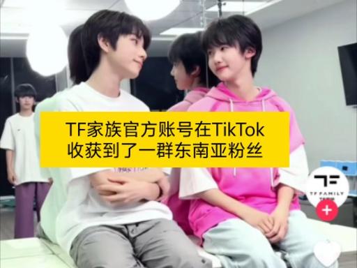 tiktok最高粉丝