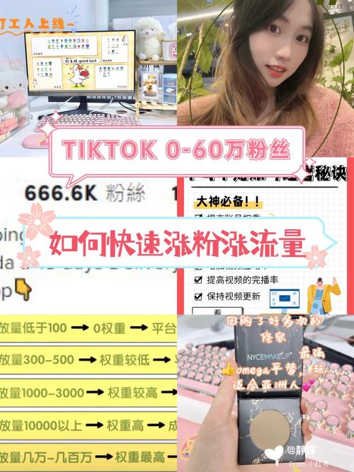 tiktok粉丝购买丝贵吗