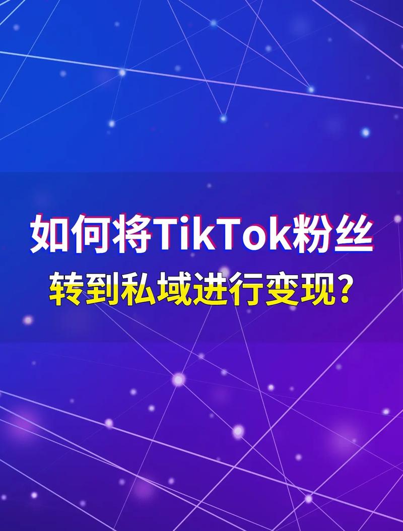 tiktok私域刷粉丝经营