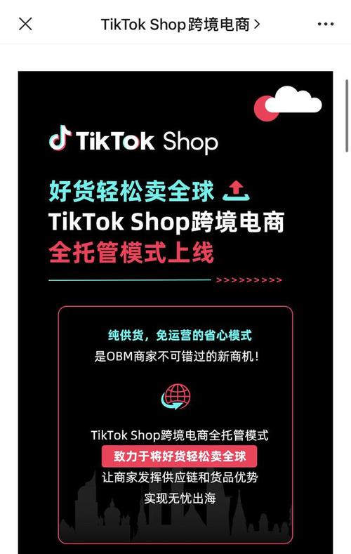 tiktok广告涨粉,TikTok广告涨粉的秘密武器：全方位策略解析!