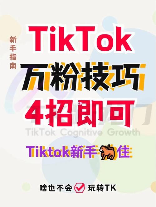 tiktok涨粉课程,TikTok涨粉课程：从入门到精通的秘诀!