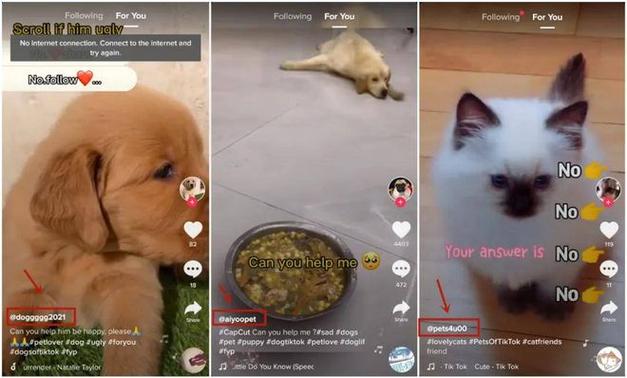 tiktok评论宠爱,TikTok评论宠爱：倾听用户的赞誉，解锁社交互动新方式!