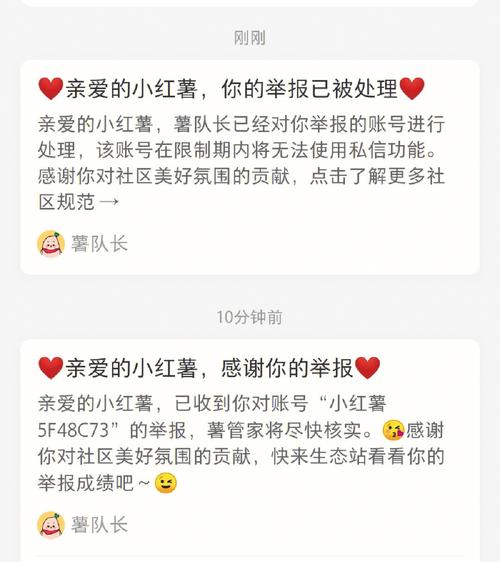 恶意买粉怎么消除小红书