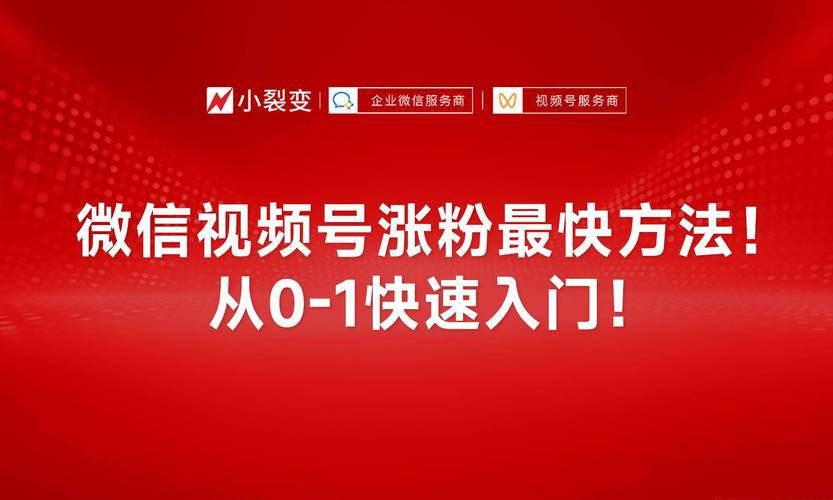 视频号涨粉窍门,视频号涨粉窍门：巧妙利用五大技巧，让你的账号火爆起来！!