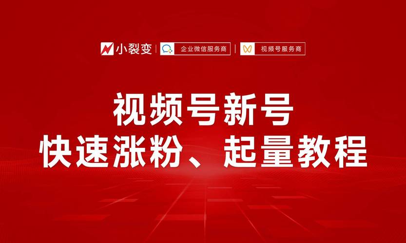 视频号如何买粉,视频号买粉的利弊分析及其注意事项!