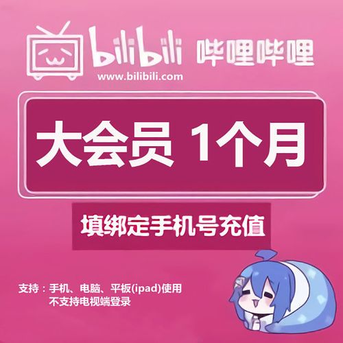 b站会员代刷,会员代刷：轻松享受B站VIP特权!