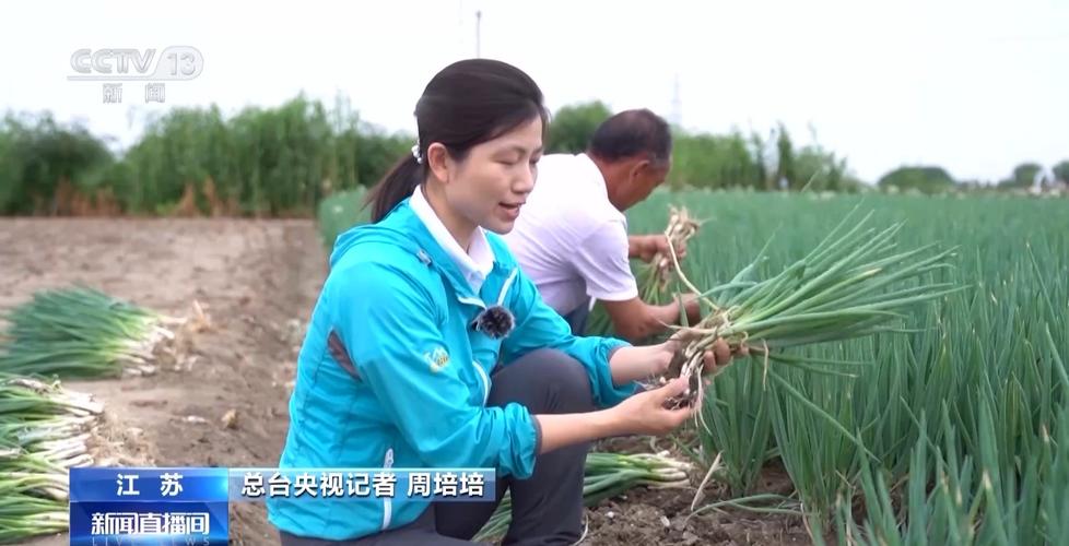 转发微博, 网络的魅力：从个人表达到社会参与的桥梁!