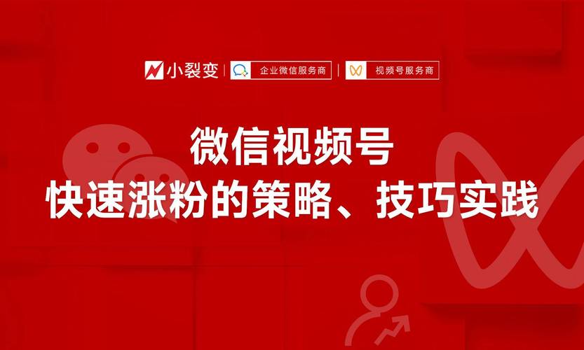 视频号涨粉丝购买,视频号涨粉丝购买：策略与技巧!