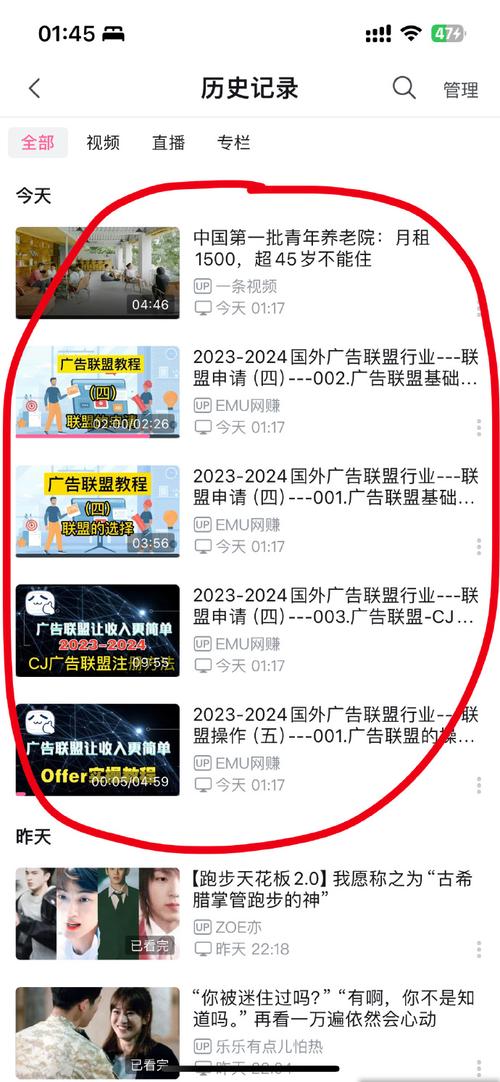 刷b站播放量会被查到吗,刷B站播放量：风险与收益的权衡!