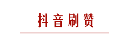 小白代网刷抖音10个赞