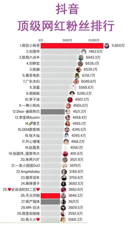 抖音增加粉丝量业务是什么,目录：!