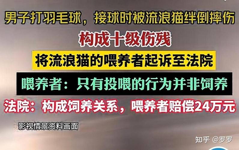 帮明星刷粉违法吗知乎小说,明星刷粉行为的法律边界与道德挑战!