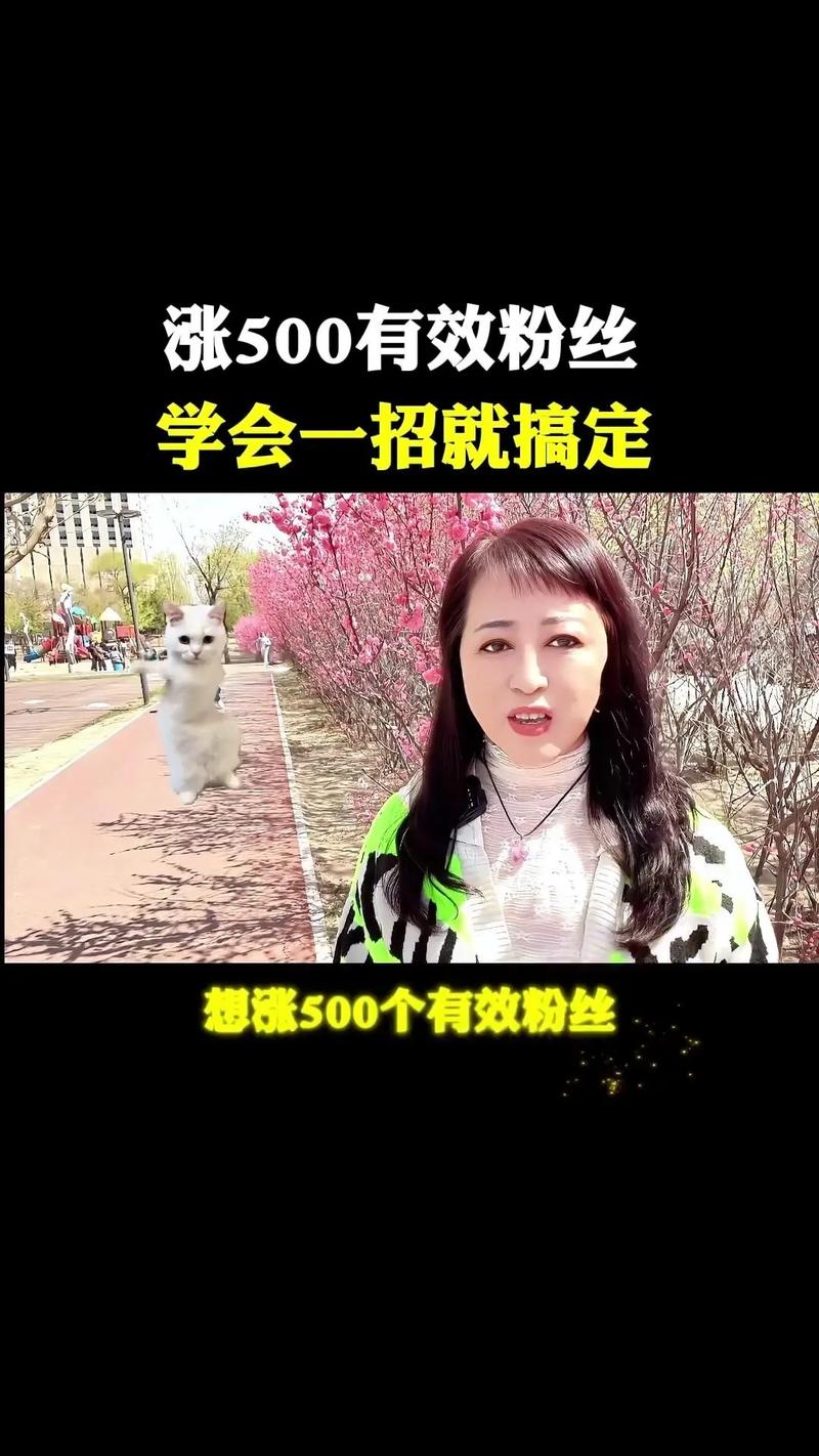 抖音有效粉丝500,浅谈如何有效运营抖音，增加粉丝关注度!