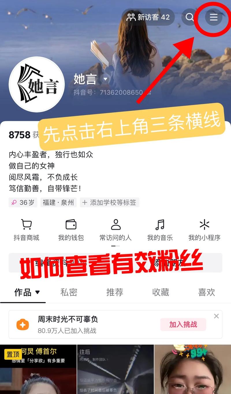 抖音里有效粉丝怎么查,抖音有效粉丝的查找与价值分析!