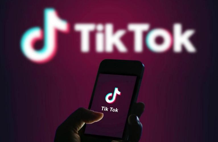 tiktok的刷粉丝mk,tiktok的刷粉丝mk：揭秘快速增加粉丝的秘密武器!