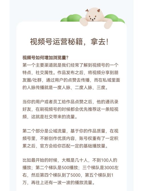 视频号运营买粉,视频号运营买粉：破解成功路上的绊脚石!