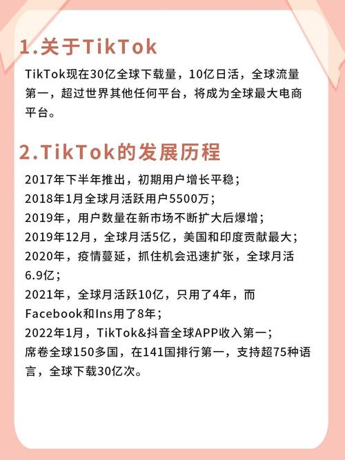 tiktok官方刷粉丝排名