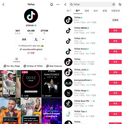 tiktok100刷粉丝