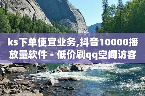 抖音业务低价自助平台,抖音业务低价自助平台——揭秘低成本创业的新选择!