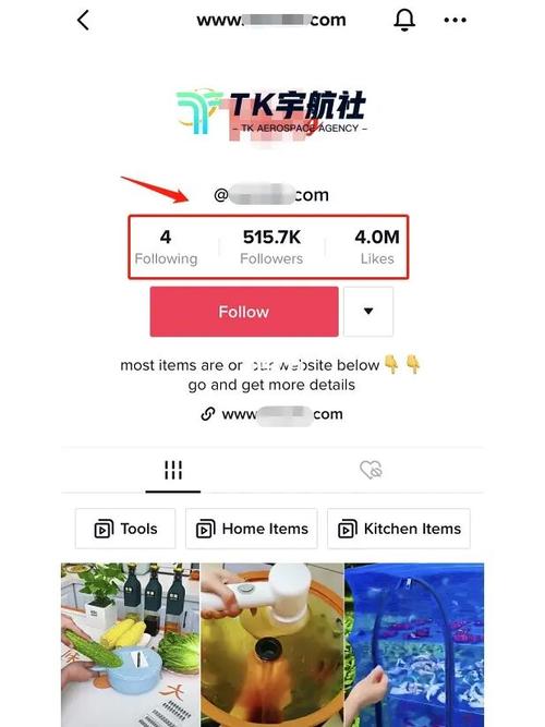 tiktok怎么建粉丝群,一、全文目录!