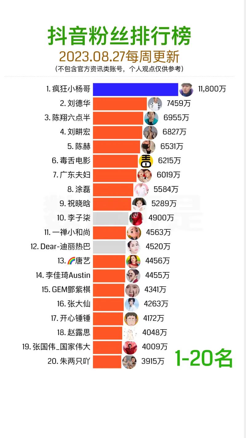 社交网站粉丝排行榜,社交网站粉丝排行榜：揭秘网络红人的崛起之路!